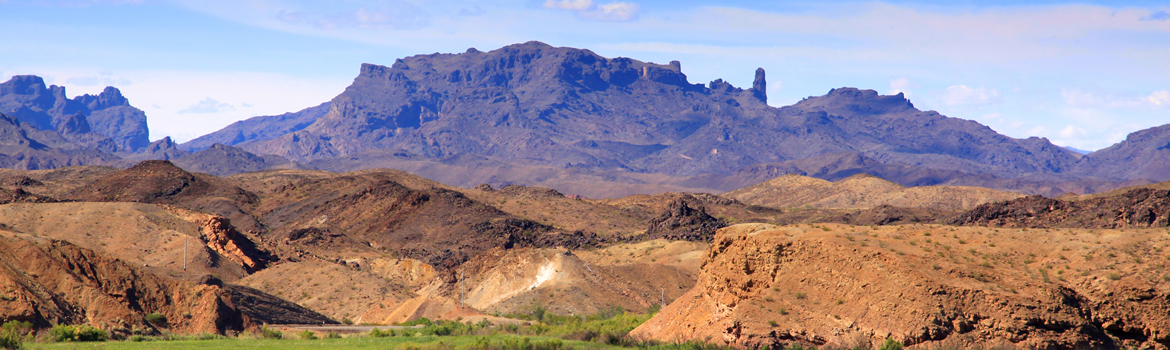 Allergists in Western Arizona